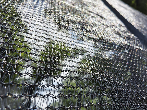 Rechteckiges Trampolin